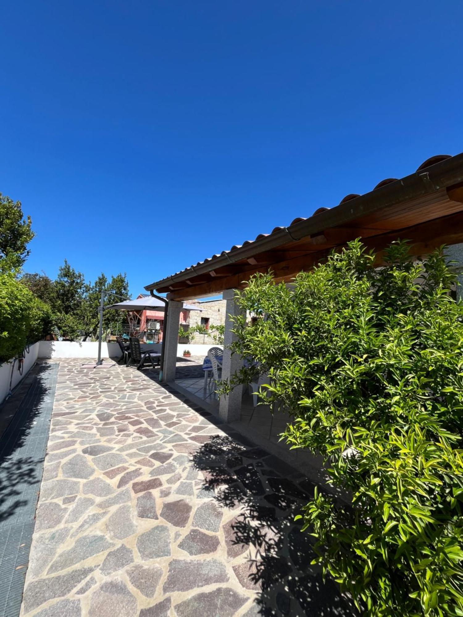 B&Bcoccole San Teodoro  Esterno foto
